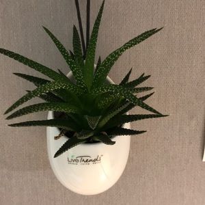 Meet your Posher, Cynthia